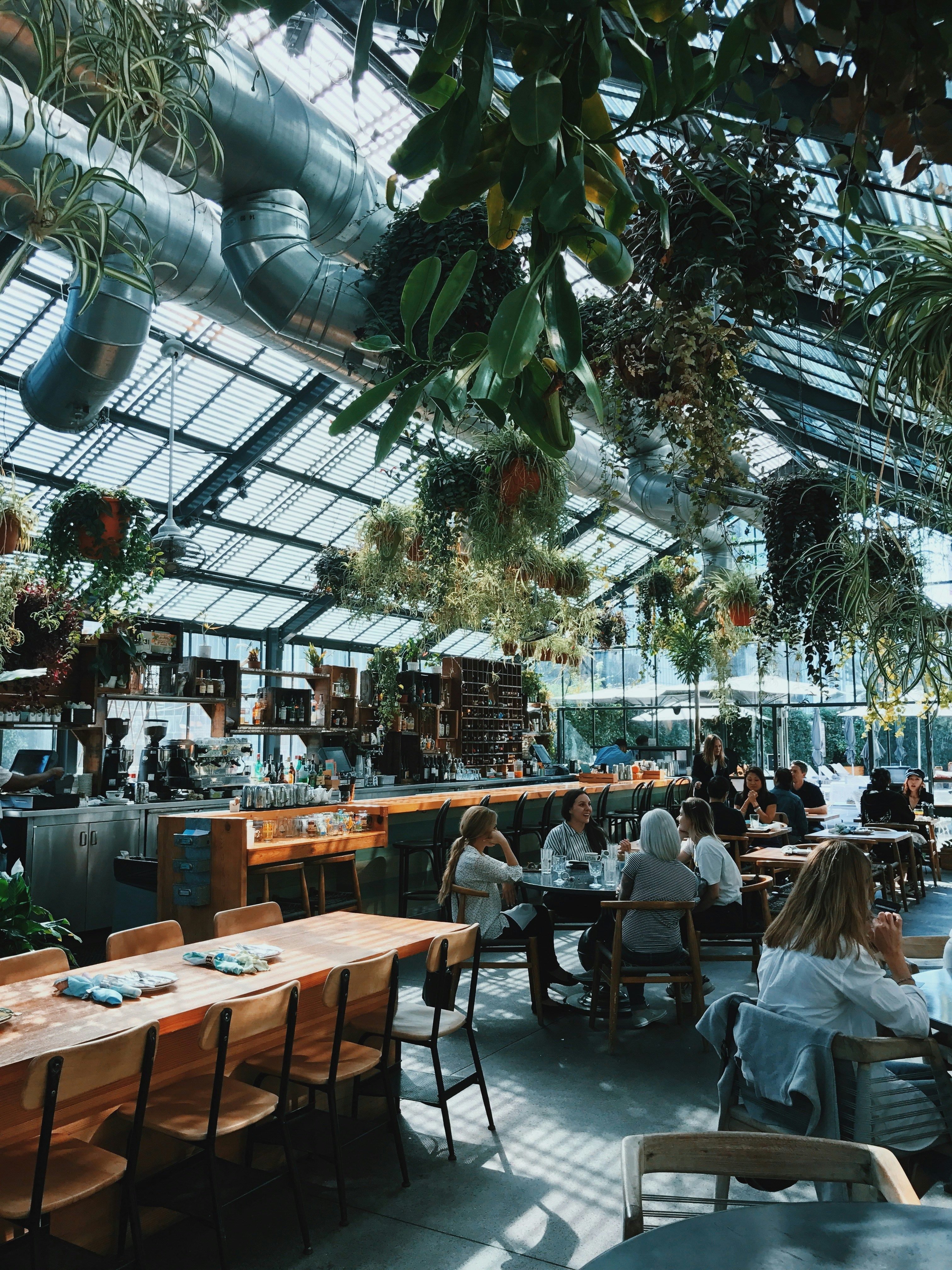 A plant-filled restaurant with a glass ceiling and diners at wooden tables